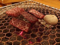 -青鹤谷(苏州店)