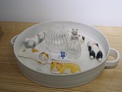 -猫里有甜