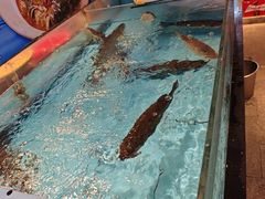 -乡里八闽·福州乡土菜(火车北站店)