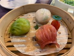 -点都德·毕德寮