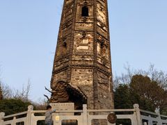 -上海佘山国家森林公园天马山园