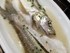 清蒸白鱼-湖鲜楼