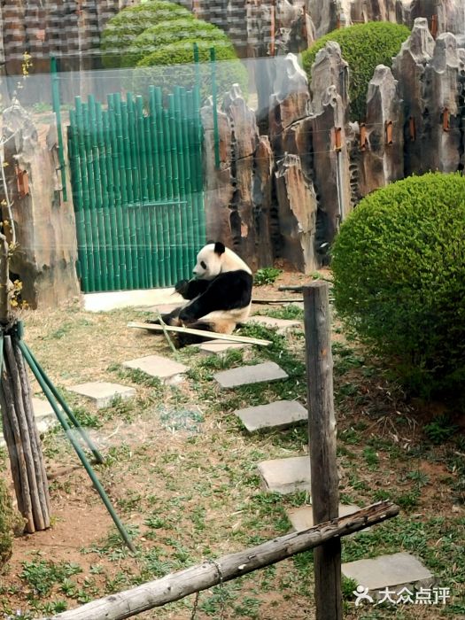 大连森林动物园图片