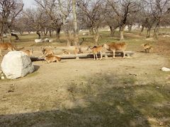 -西安秦岭野生动物园