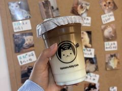-楼上猫咖(罗湖店)