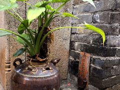 -梅花山庄幼儿园