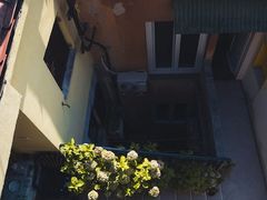 -维乐口腔医院(星海湾分院)