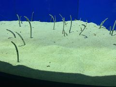 -上海海洋水族馆