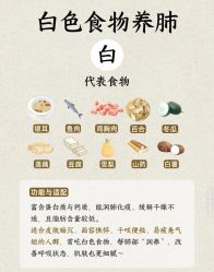 -雅曼妮spa美容养生