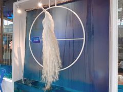 -雀舞云南菜(乐客城店)