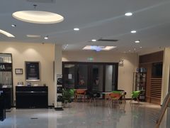 -知音艺术教育培训·钢琴培训·音乐培训(河西金鹰世界校区)