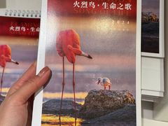 -好利来(团结湖店)