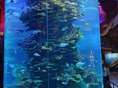 -泉城欧乐堡海洋极地世界