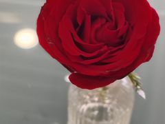 -大连中升雷克萨斯(华北路店)