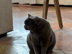 -Me Coffee下午茶艺术空间