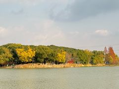 -昆山城市生态森林公园