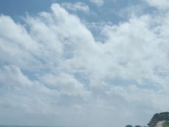 -涉地可支