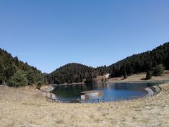 -武陵山森林公园