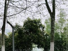 -天鹅湖体育公园