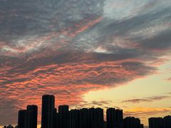 -埠口精酿夜景餐酒吧· BREWPORT BISTRO(长嘉汇重庆之眼店)