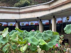 -天怡·鱼工厂(梅溪湖店)