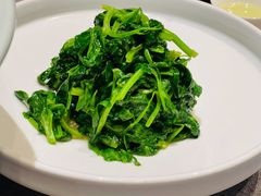-柿合缘新京菜(国金中心商场店)