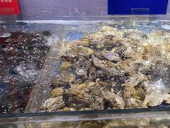 -亚马逊海鲜自助(梅溪湖步步高店)