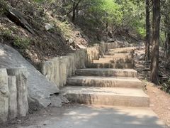 -北京西山国家森林公园