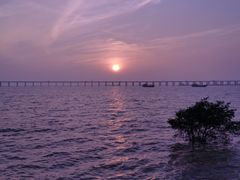 -宝安西湾红树林湿地公园