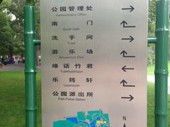 -紫竹院公园冰场