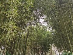 -西安市长乐公园