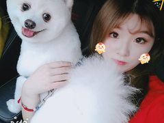 -超宠爱宠物摄影-Super pet