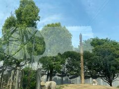 -常州淹城野生动物世界