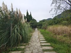 -花溪公园