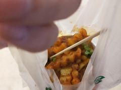 -周小亮丁家坡洋芋(全国总店)