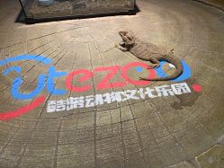 -酷嗒动物文化乐园(cutezoo西溪乐天城店)