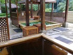 -春晖园度假酒店温泉