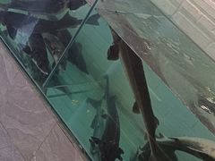 -红井路游艺炖锅·音乐餐吧(十渡店)