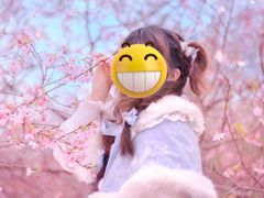 -天适樱花悠乐园