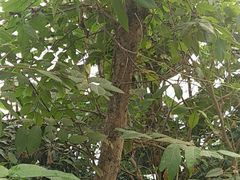 -祥源·阜阳生态乐园