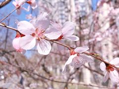 -东升八家郊野公园