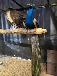 -酷嗒动物文化乐园(cutezoo西溪乐天城店)