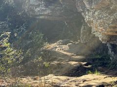 -天目山大树王景区