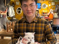 -猫猫幼稚园·撸猫·桌游·电玩