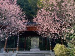 -杭州植物园