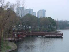 -新江湾城公园