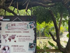 -广州长隆飞鸟乐园