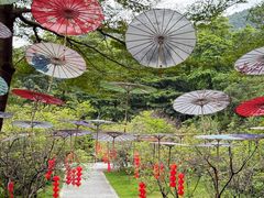 -广州市帽峰山景区