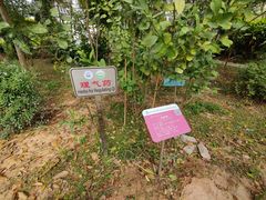 -广东中医药博物馆
