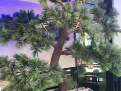 -绿茶餐厅(成都大悦城店)